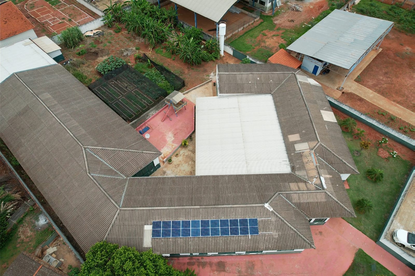 Apae Campina Verde